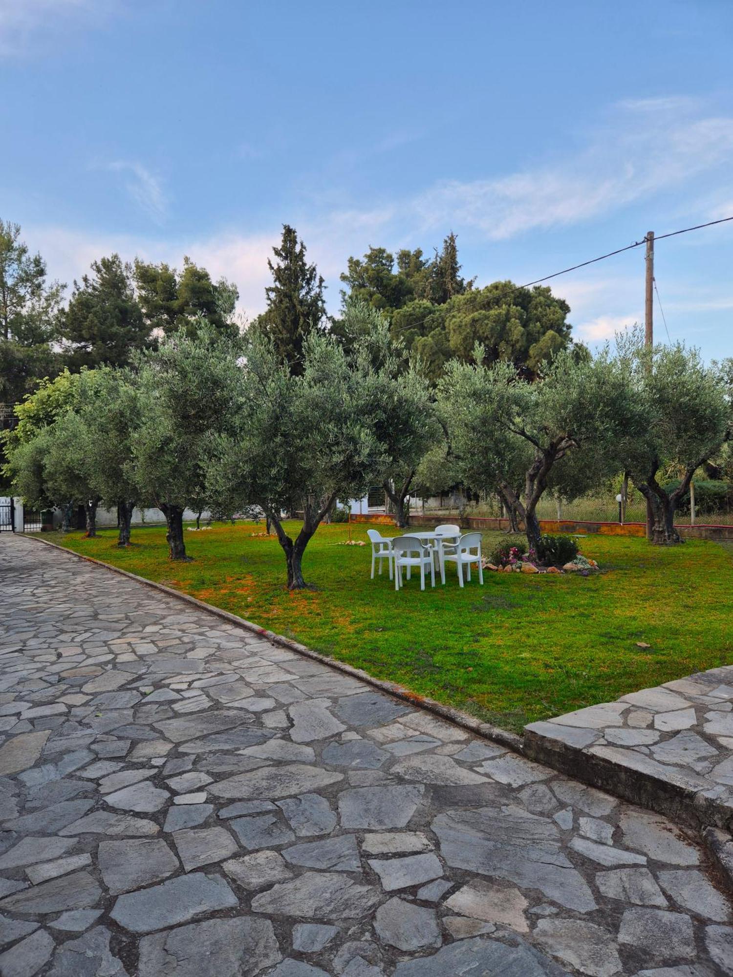Geovilla Green & Blue 1 - Pefkochori Exterior foto